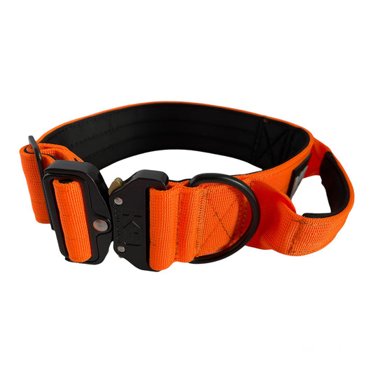 5cm Tactical Dog Collar - Orange